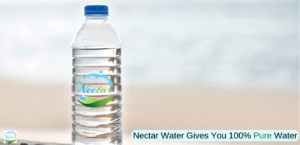 Read more about the article 872025003950 Nectar Water Bottle 250ML